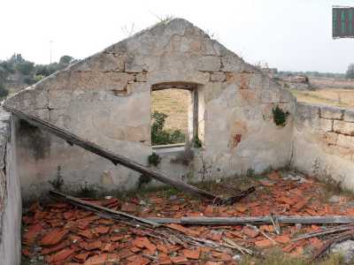 Una scala permette l�accesso al terrazzo dominato da tegole rosse per terra, vegetazione spontanea e travi di legno